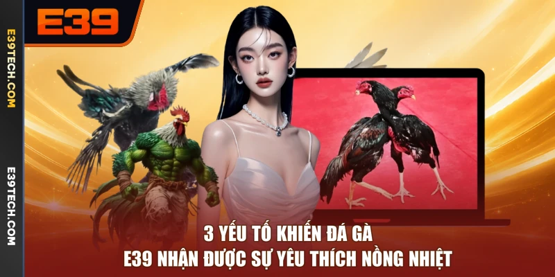 3 yếu tố khiến đá gà E39 nhận được sự yêu thích nồng nhiệt