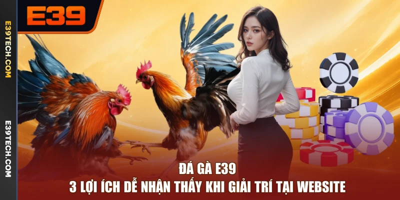 Đá Gà E39 - 3 Lợi Ích Dễ Nhận Thấy Khi Giải Trí Tại Website
