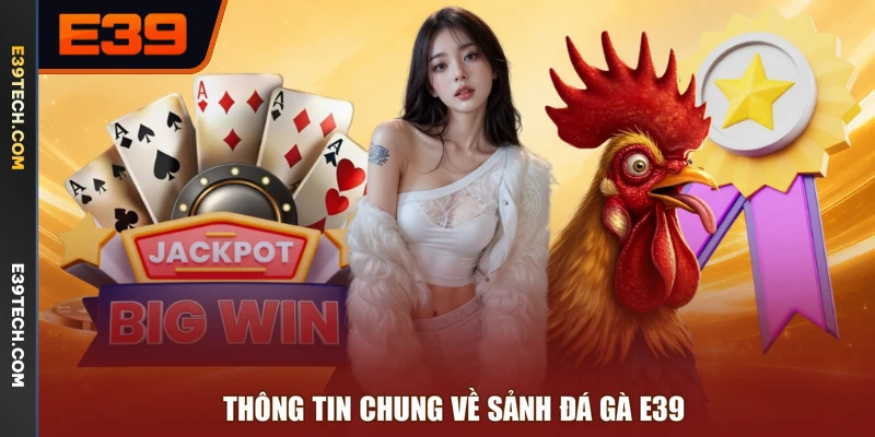 Thông tin chung về sảnh đá gà E39